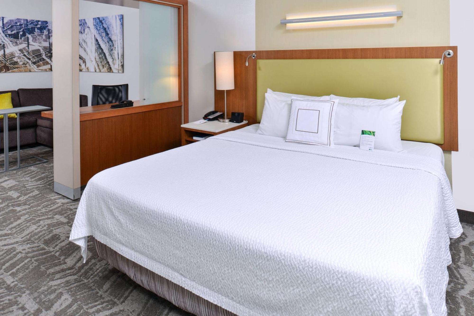 Springhill Suites By Marriott Detroit Metro Airport Ромулус Экстерьер фото